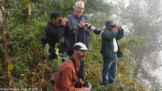 Birding, bird watching tour in Chitwan national park.
