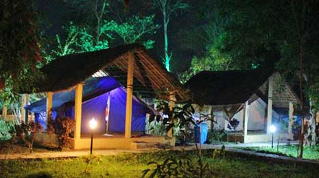 tented camp accommodation in Kohi Tappu