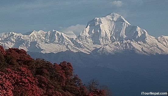 Dhaulagiri (8,167m) seen from Pun Hill