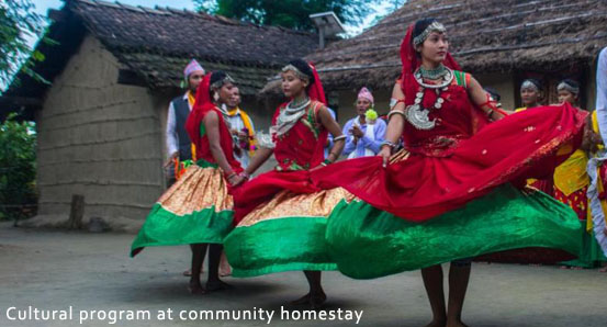 Tharu cultural program at community homestay