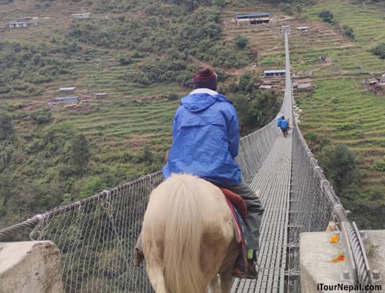 Pony trek to Annapurna base camp