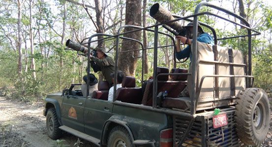 Jeep safari in Chitwan