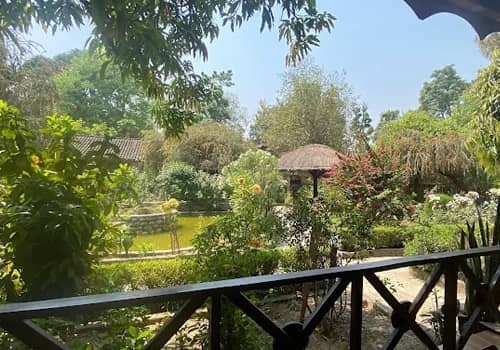 Bardia lodge garden