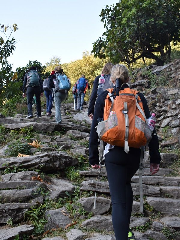 Stone steps to Ghorepani