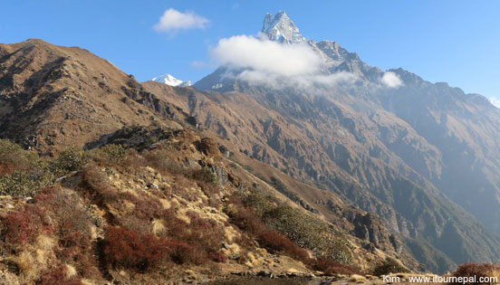 Mt Fishtail seen from Mardi Himal Trek