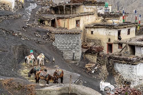 Photography tour of Nepal