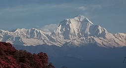 Annapurna South from Poon Hill