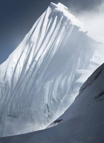 Snow Leopard walking in front of Mt Pumori