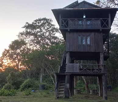 Tower night stay in Chitwan national park